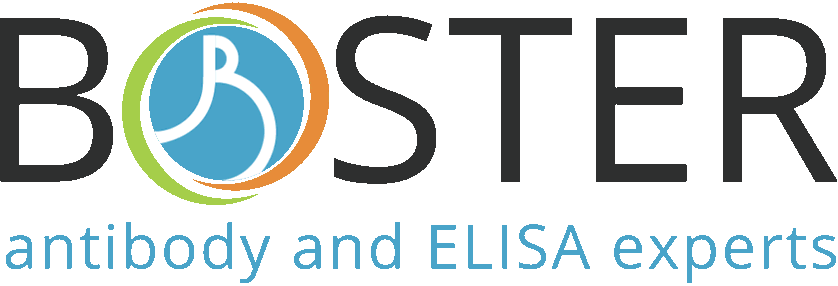 Bosterbio logo Bosterbio logo