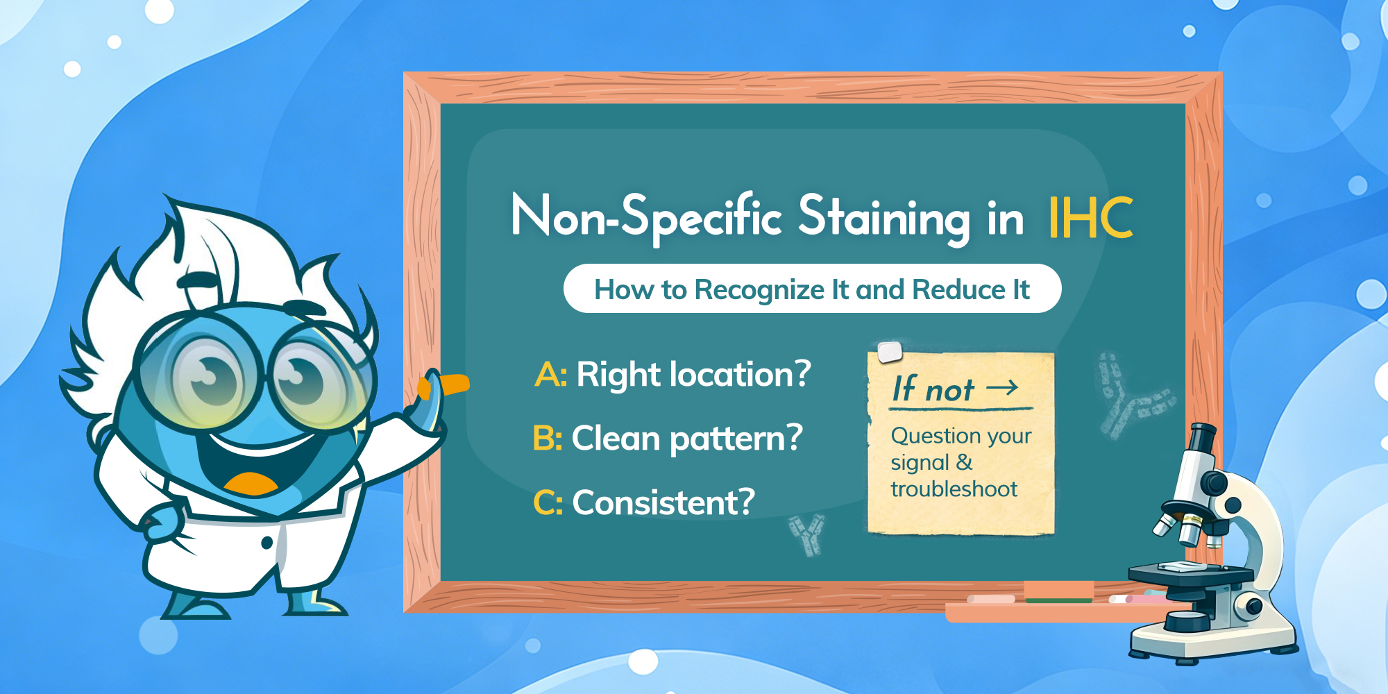 Non-Specific Staining in IHC: How to Recognize It and Reduce It