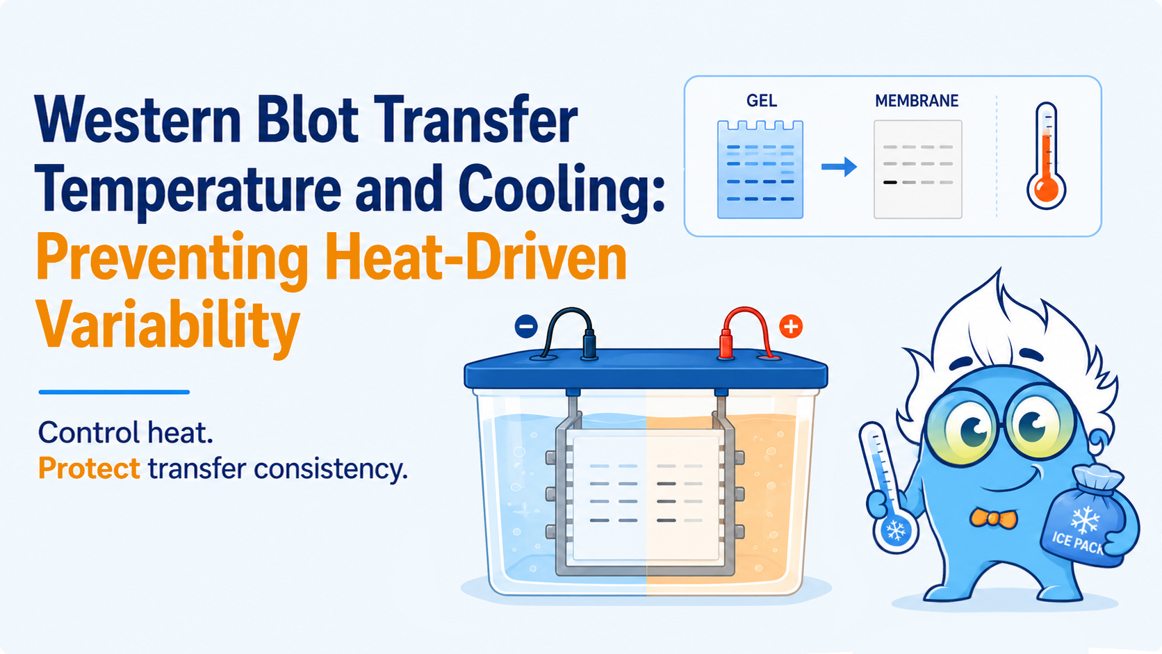 Western Blot Transfer Temperature and Cooling: Preventing Heat-Driven Variability