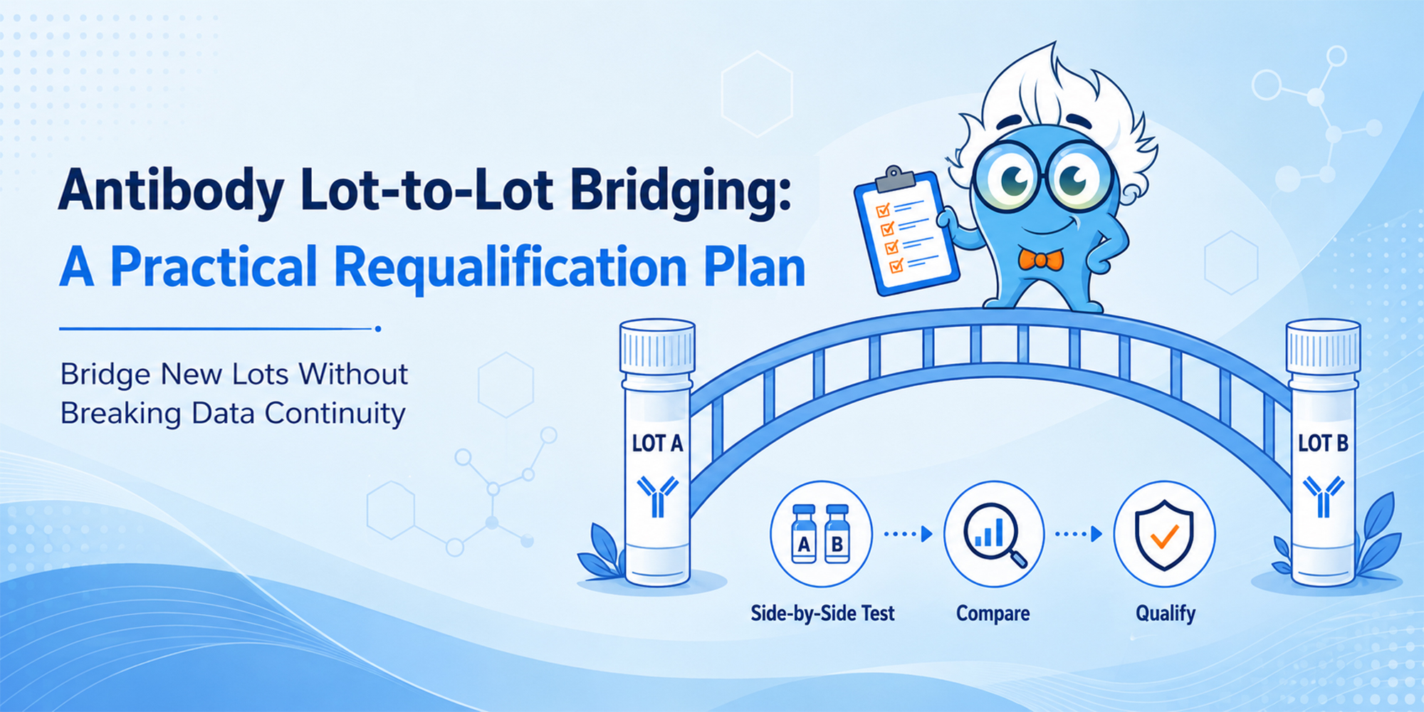 Antibody Lot-to-Lot Bridging: A Practical Requalification Plan