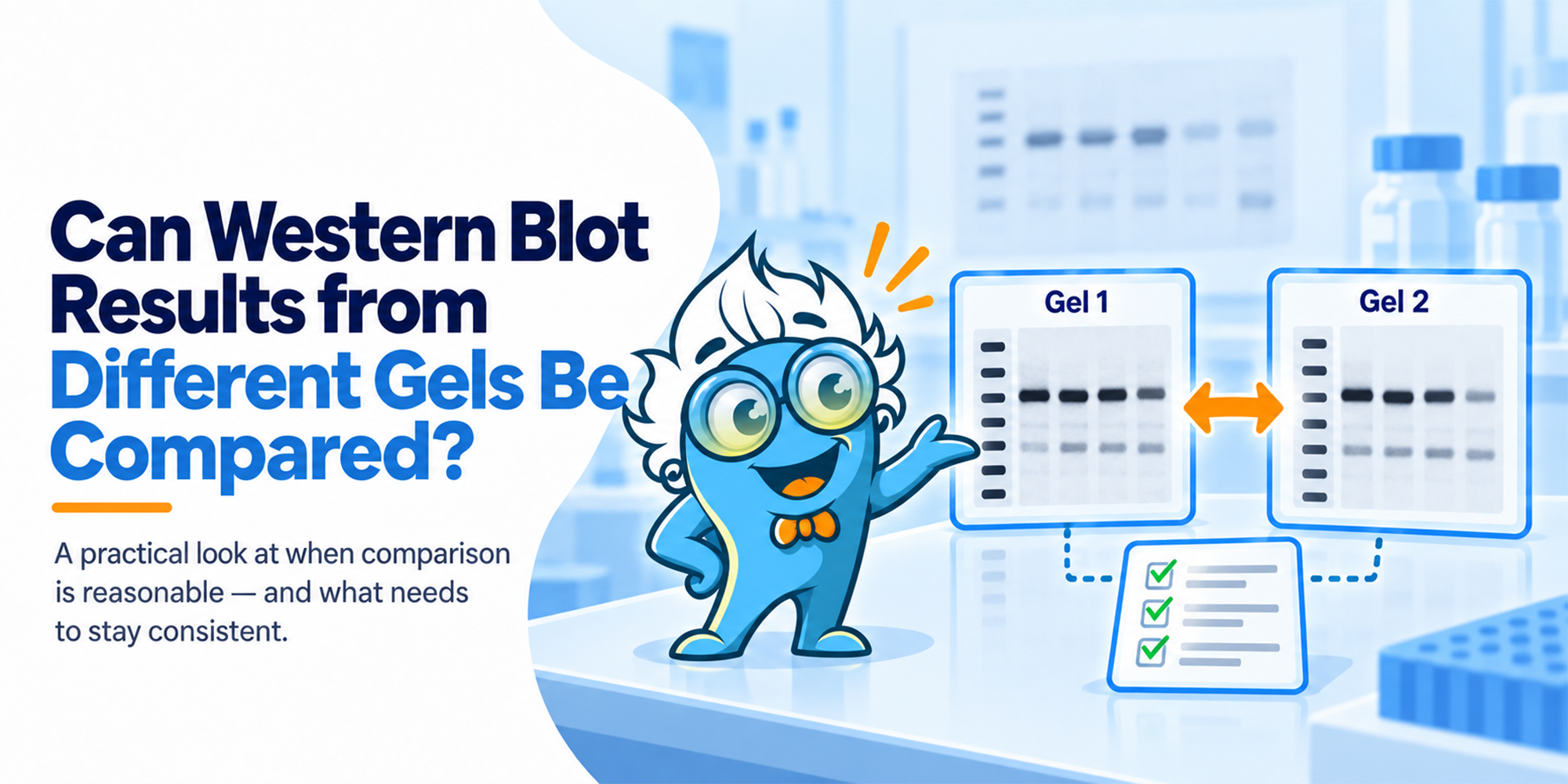 Can Western Blot Results from Different Gels Be Compared?