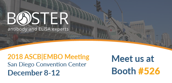 2018 ASCB|EMBO Meeting