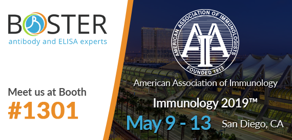 Visit Boster's Booth #1301 at AAI 2019 Annual Meeting