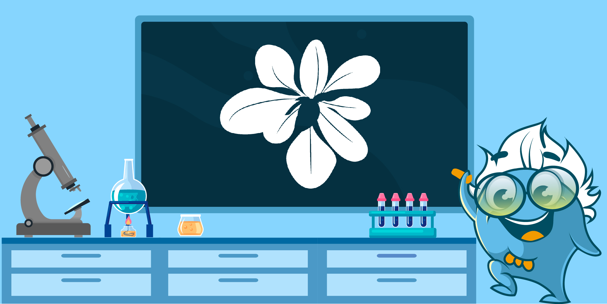 Arabidopsis as a Model Organism