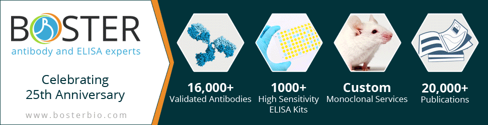 25th Anniversary Celebration