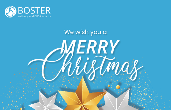 Happy Holidays from Boster