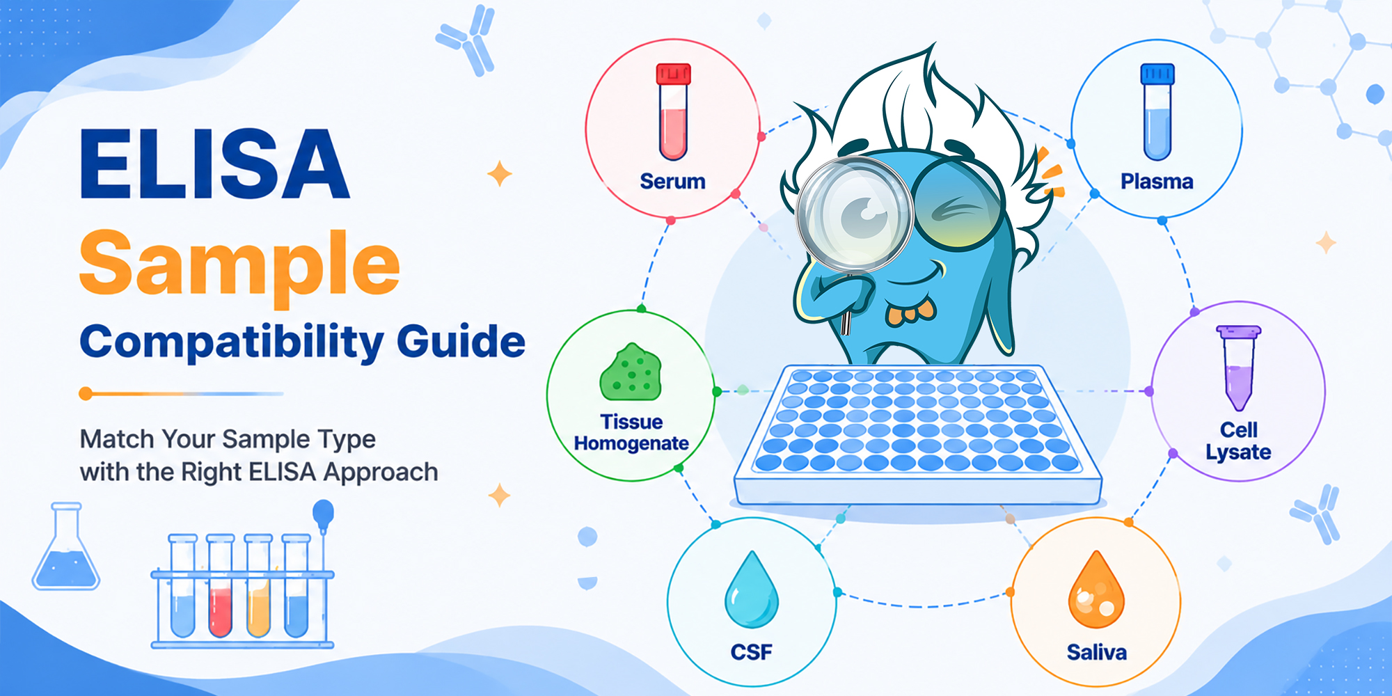 ELISA Sample Compatibility Guide: Can You Use Serum, Plasma, Tissue Homogenate, Cell Lysate, CSF, Saliva, or Urine?