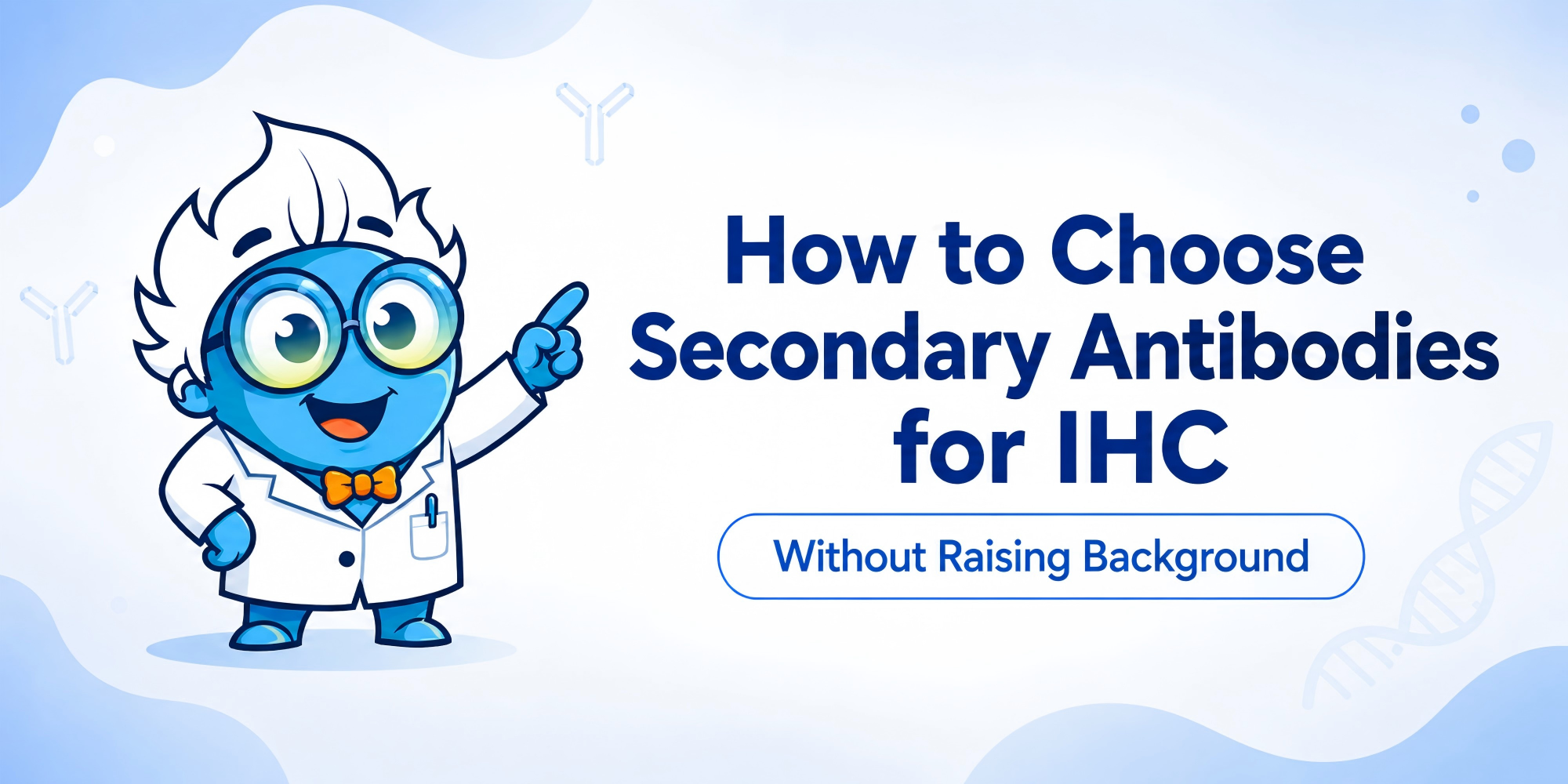 How to Choose Secondary Antibodies for IHC Without Raising Background