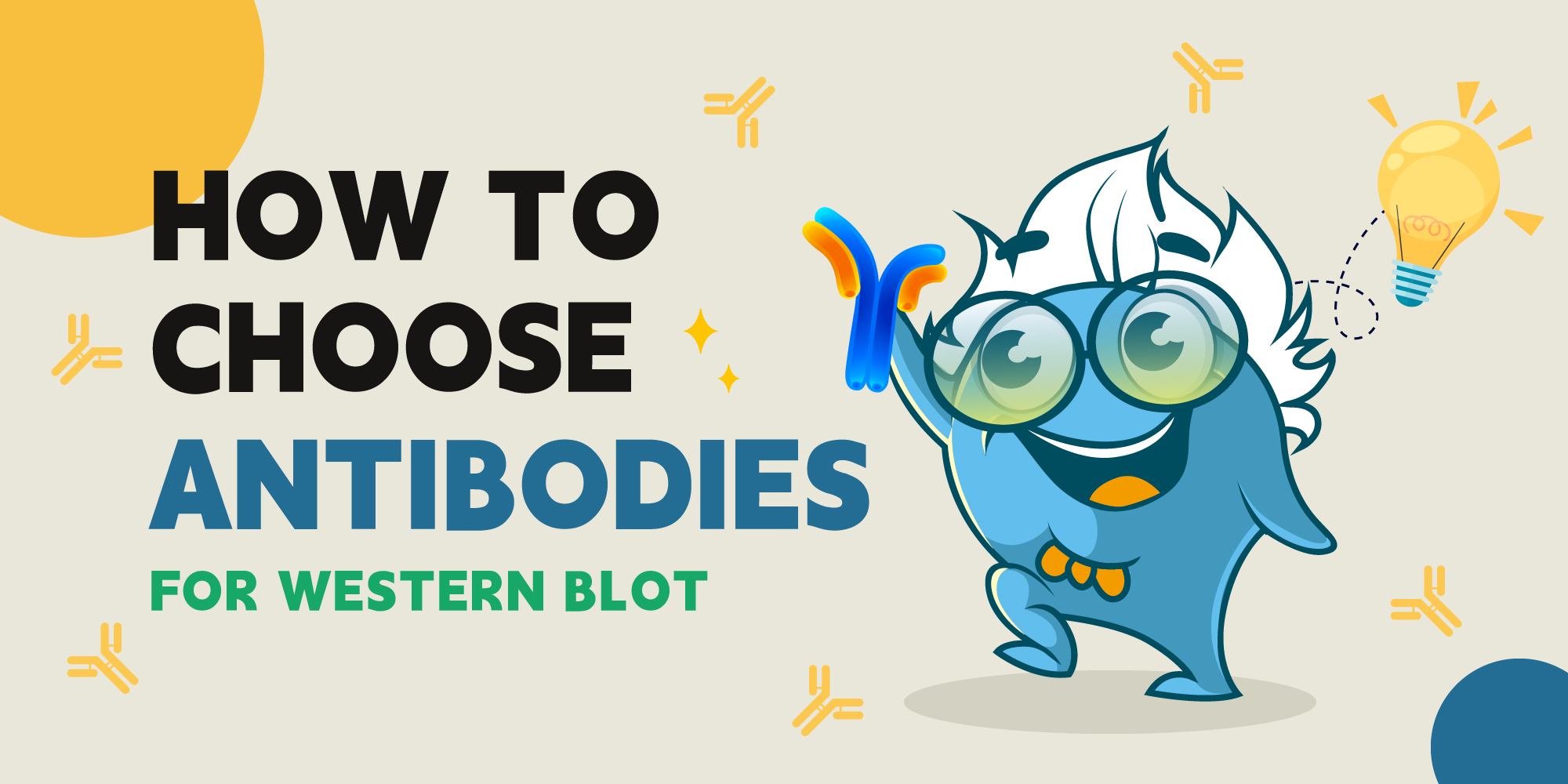 How to Choose the Right Antibody for Western Blot (WB)--A Practical Guide