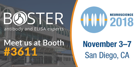 Visit Boster's Booth #3611 at Neuroscience 2018