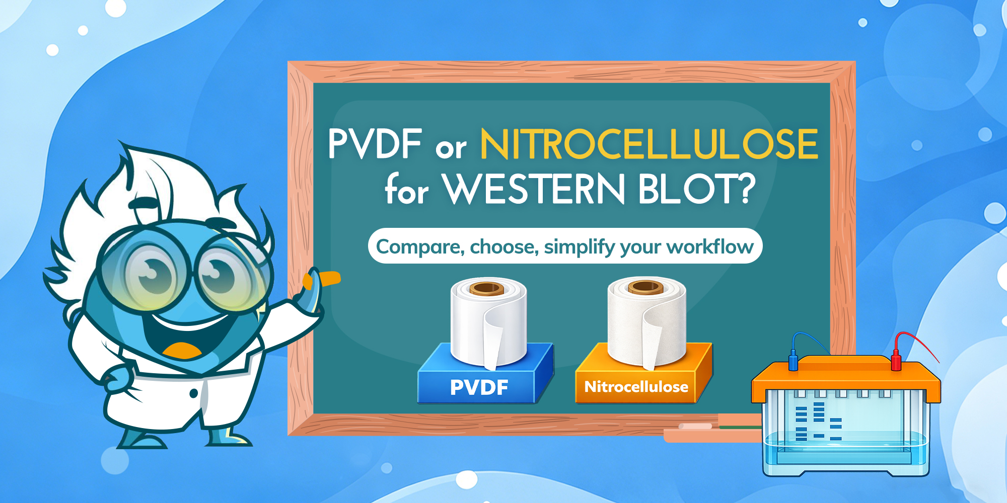 Which Membrane Should You Choose for Western Blot