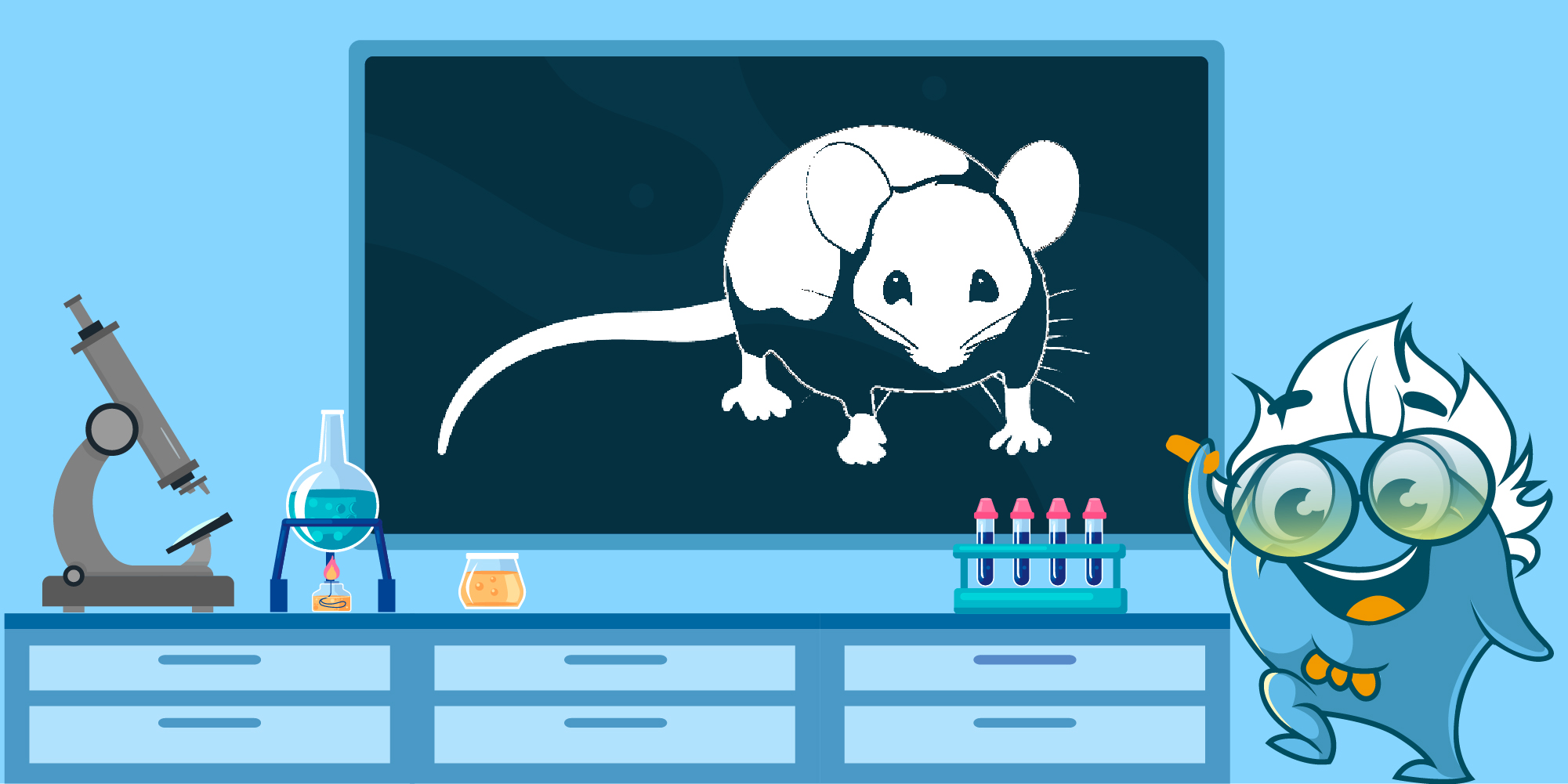 Rat as a Model Organism