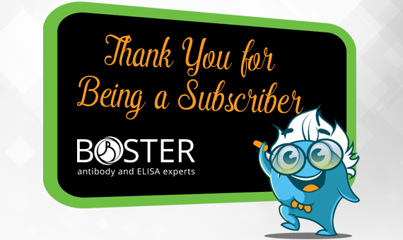 Our Heartfelt Thanks to You