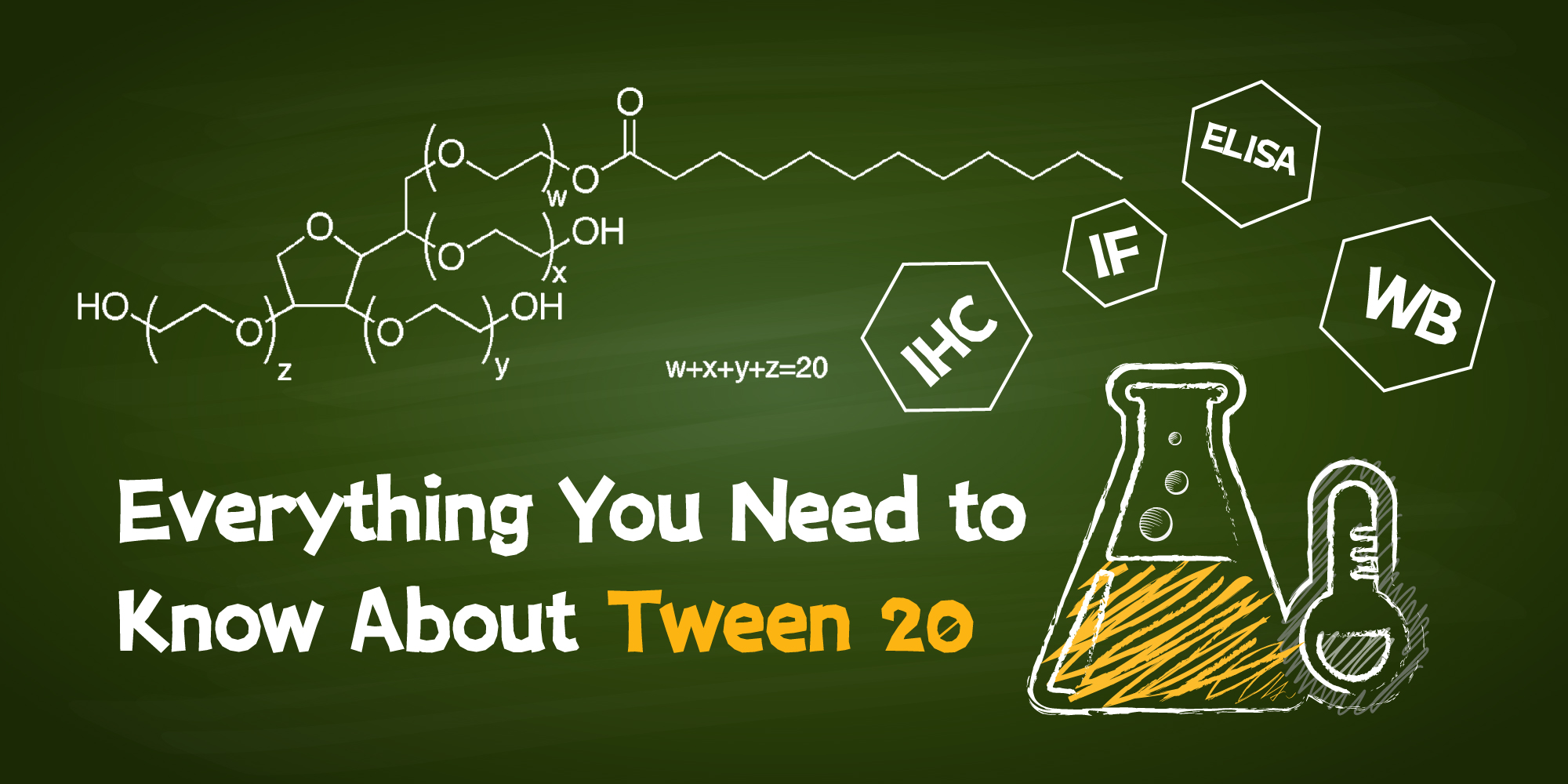 Behind the Blot: Everything You Need to Know About Tween 20