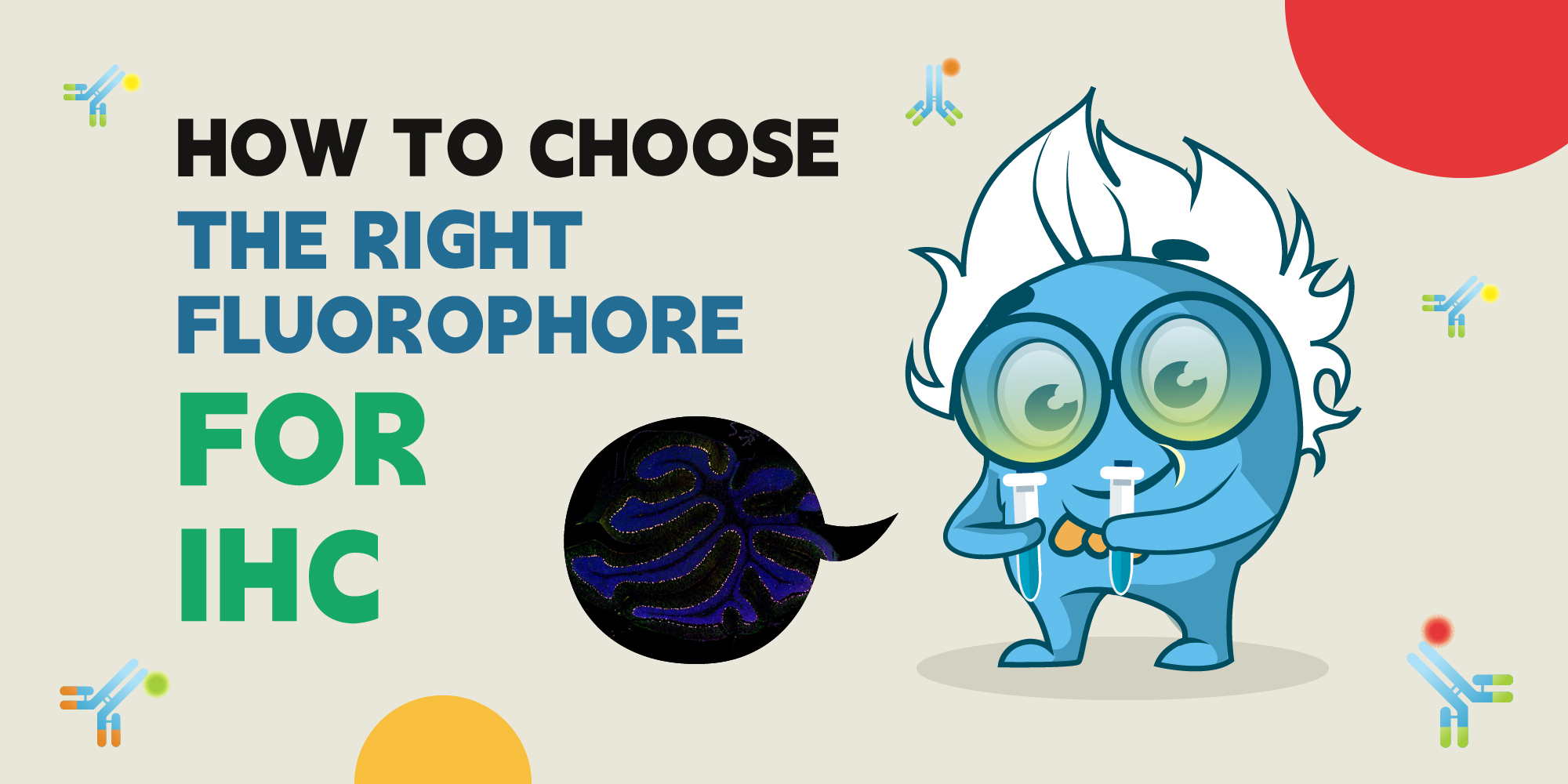 How to Choose the Right Fluorophore for IHC