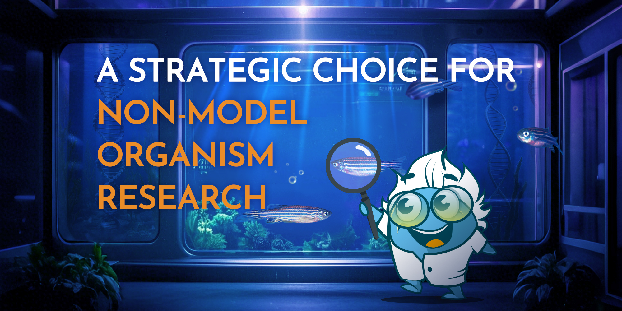 Custom Antibodies vs. Catalog Antibodies: A Strategic Choice for Non-Model Organism Research