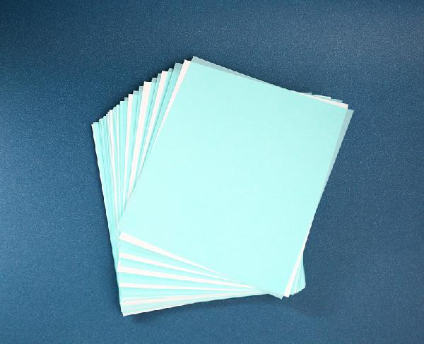 Nitrocellulose Membrane for Western Blot