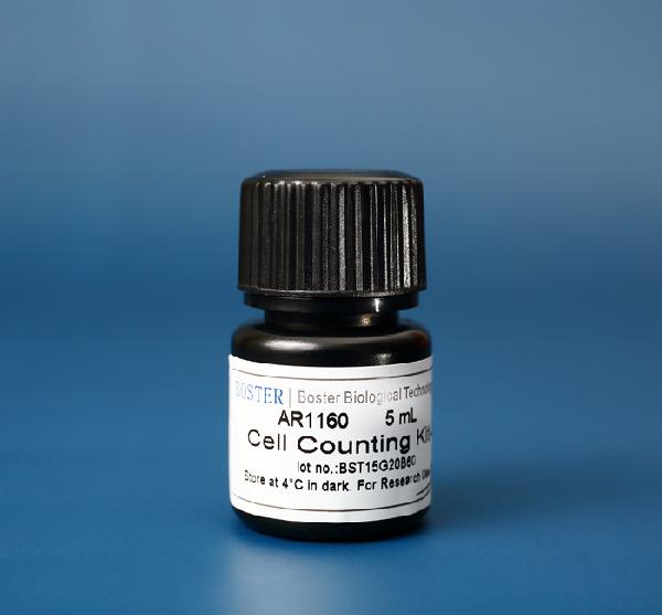 What is the CCK-8 assay?