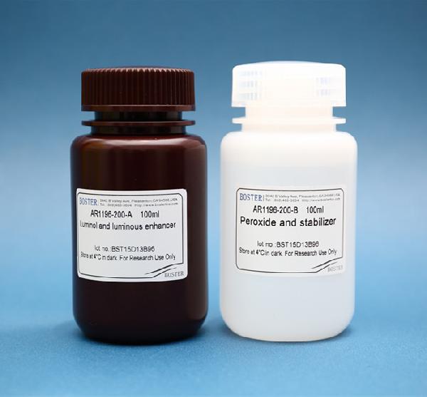 Enhancing your Experiment with Enhanced Chemiluminescence (ECL)