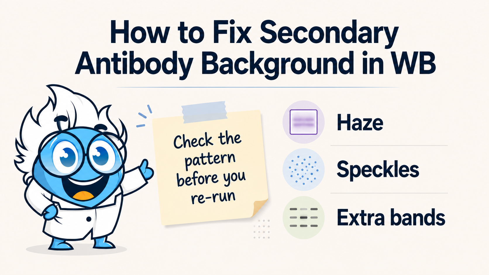 How to Fix Secondary Antibody Background in Western Blot