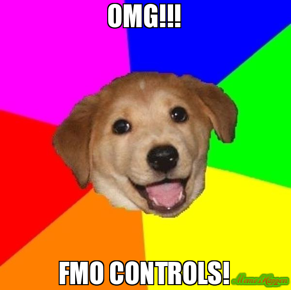 What are FMO Controls? 3 Recommendations