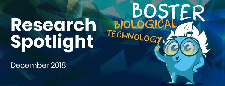 Research Spotlight – December 2018