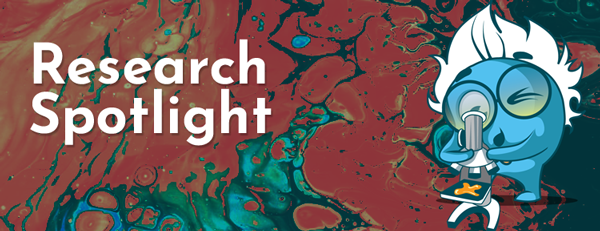 Research Spotlight - December 2023