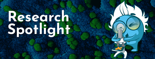 Research Spotlight - August 2023