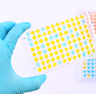 ELISA protocol for macrophage marker analysis