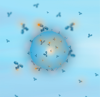 Flow cytometry protocol for macrophage markers