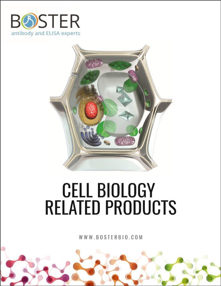 BosterBio cell biology product catalog