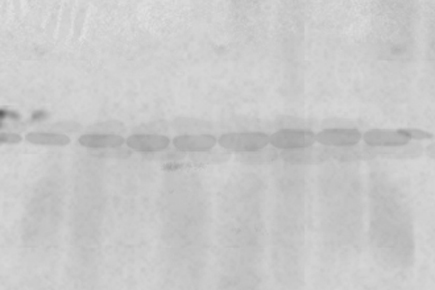 Weak/No Signal