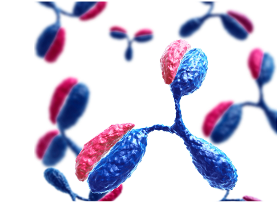 Antibody diversity generation in the immune system illustration