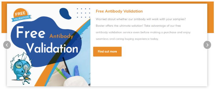 Antibody diversity mechanisms in immune defense illustration