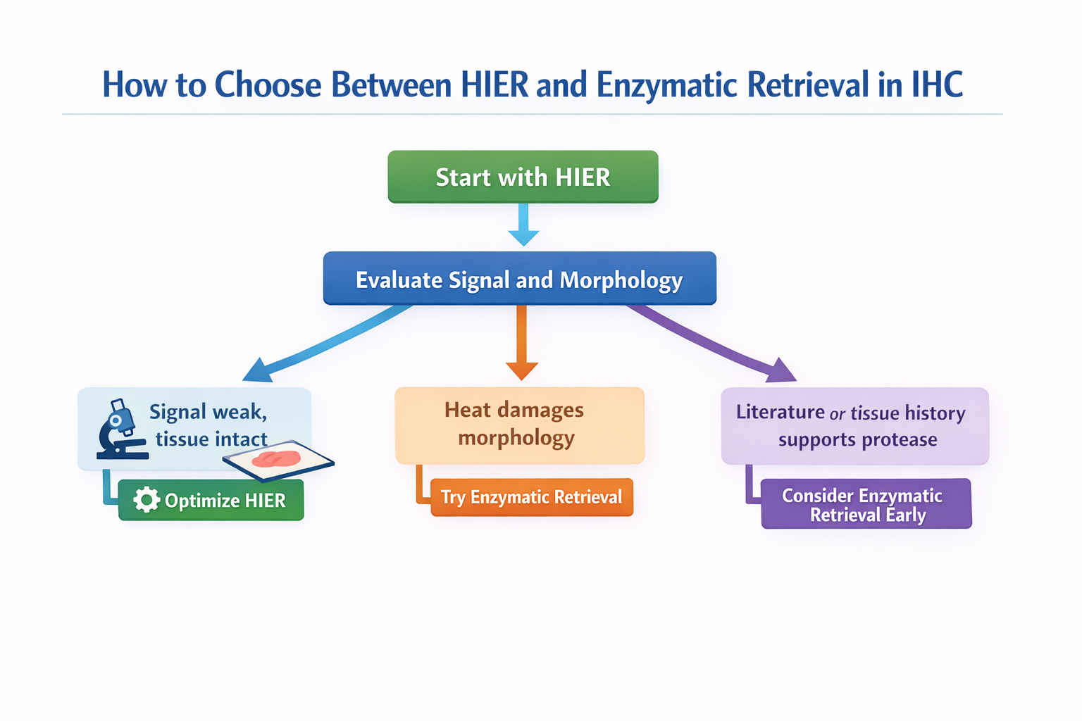 Diagram showing a decision guide in choosing between HIER and enzymatic retrieval in IHC