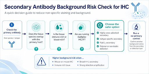 Secondary antibody background decision guide