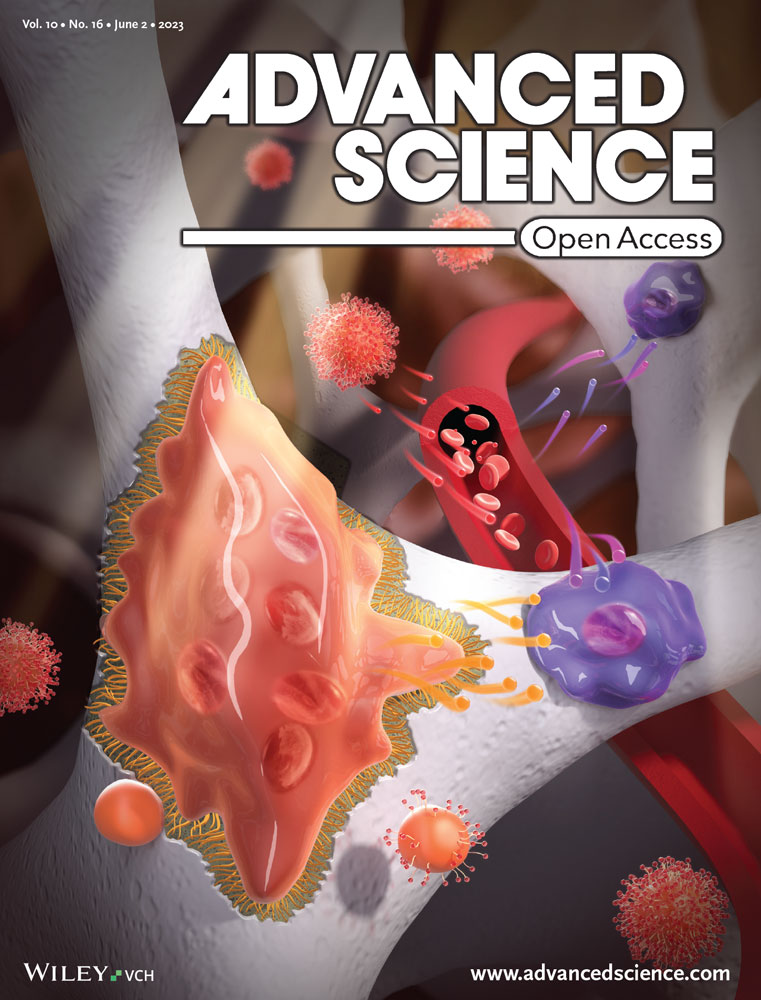 Journal Cover