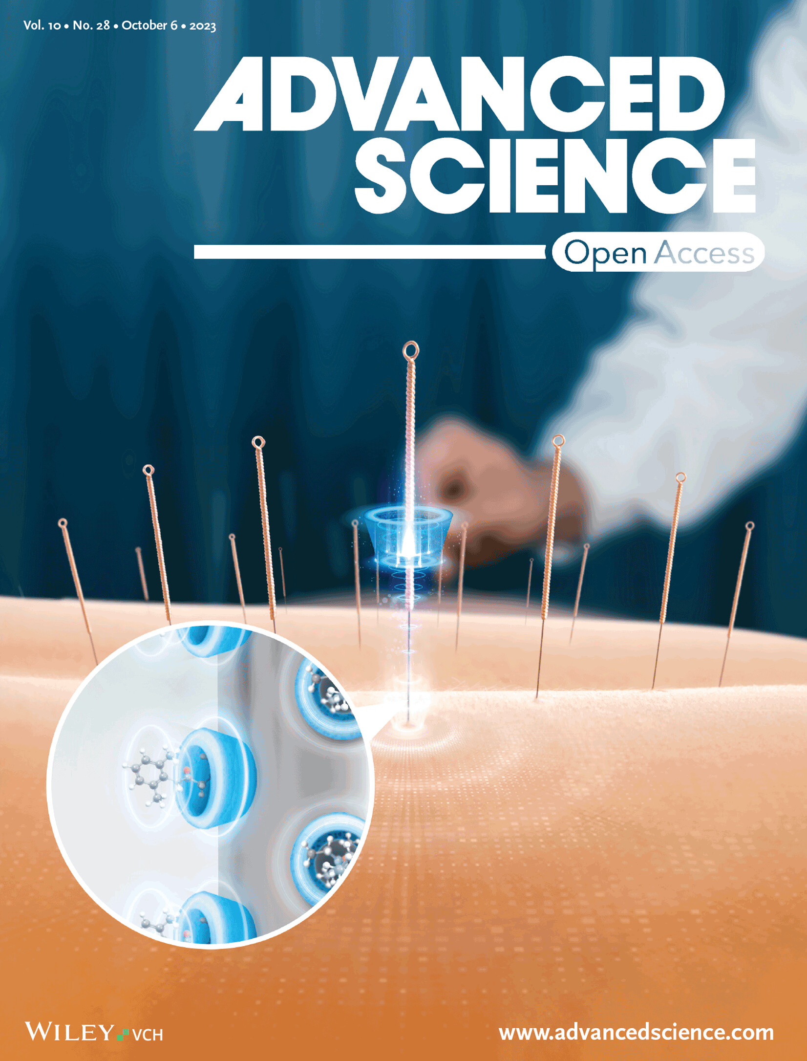 Journal Cover