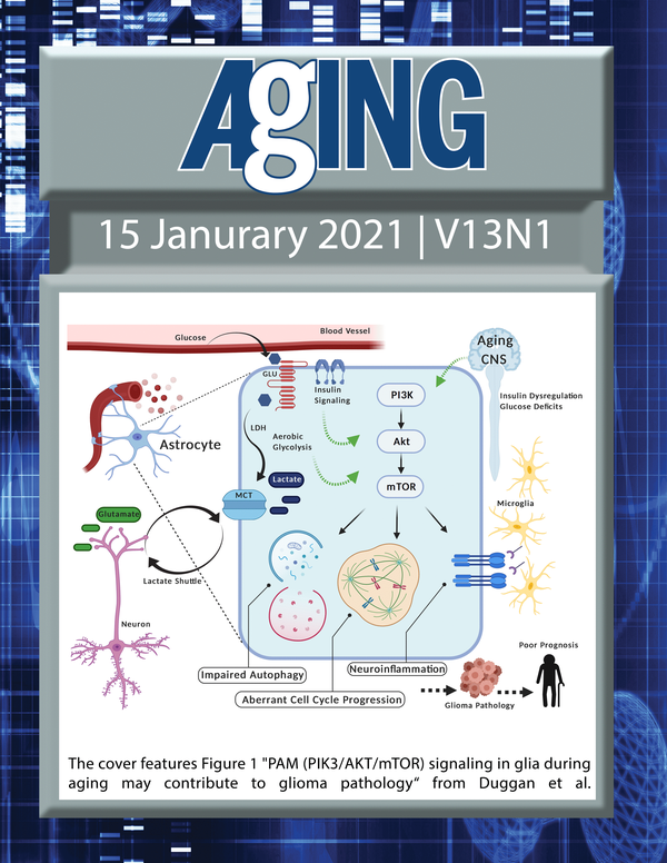 Journal Cover