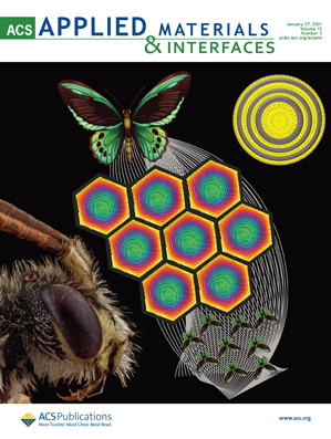 ACS Applied Materials & Interfaces Journal Cover