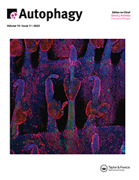 Journal Cover