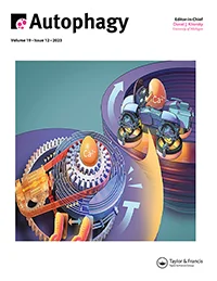 Journal Cover