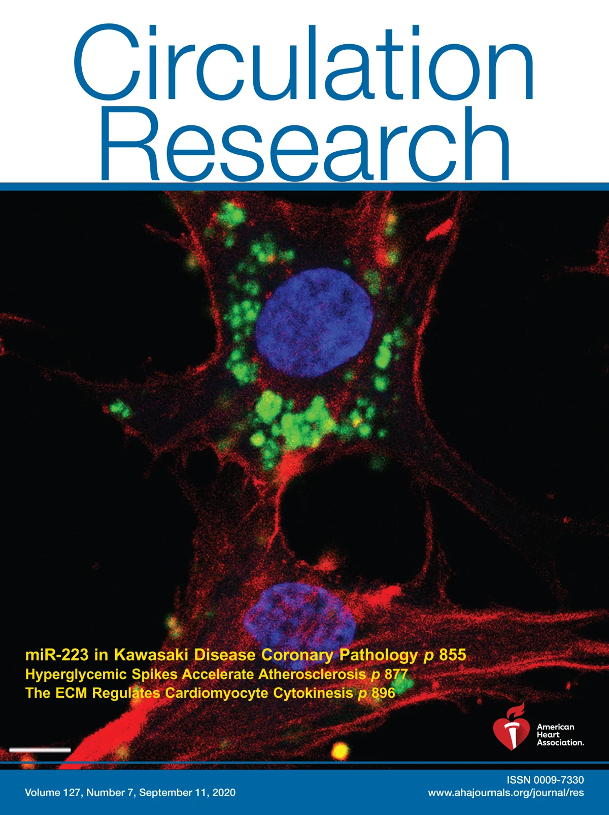 Circulation Research Journal Cover
