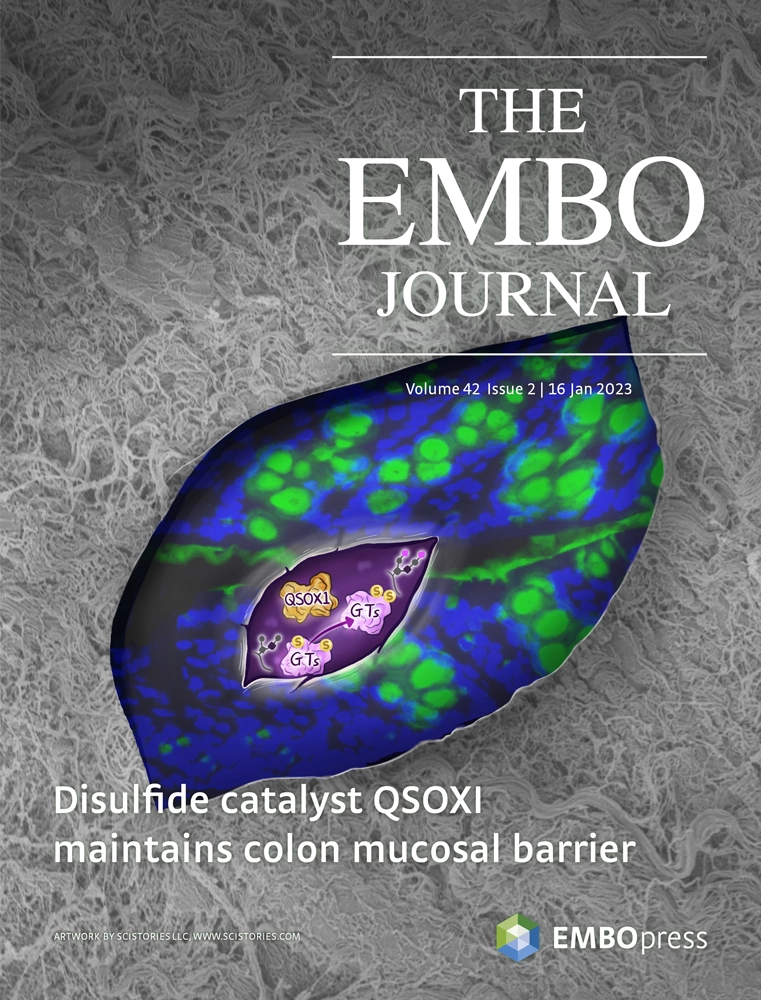 Journal Cover