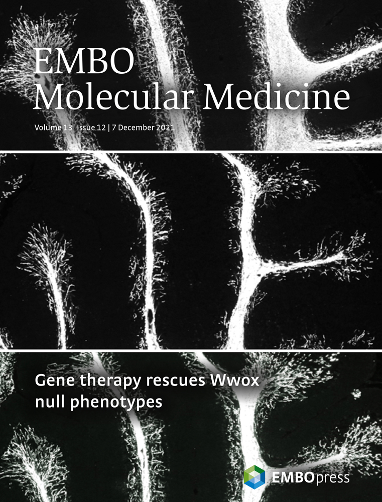 Journal Cover