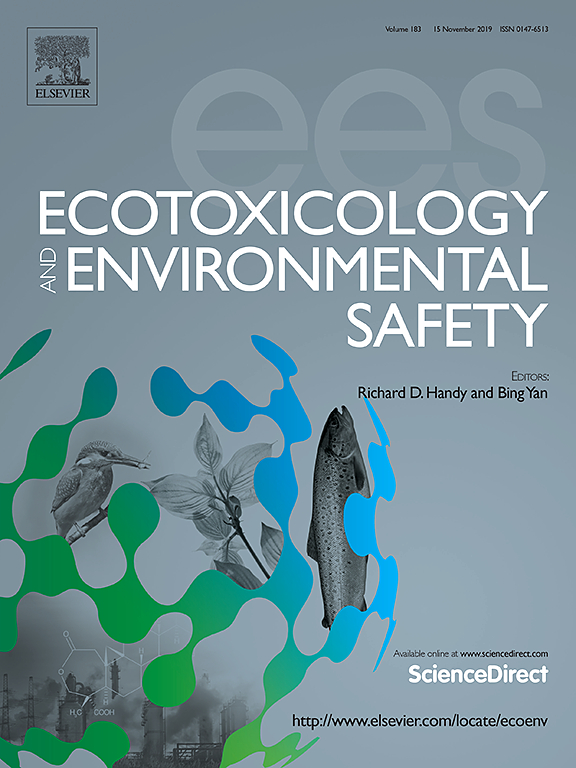 Journal Cover
