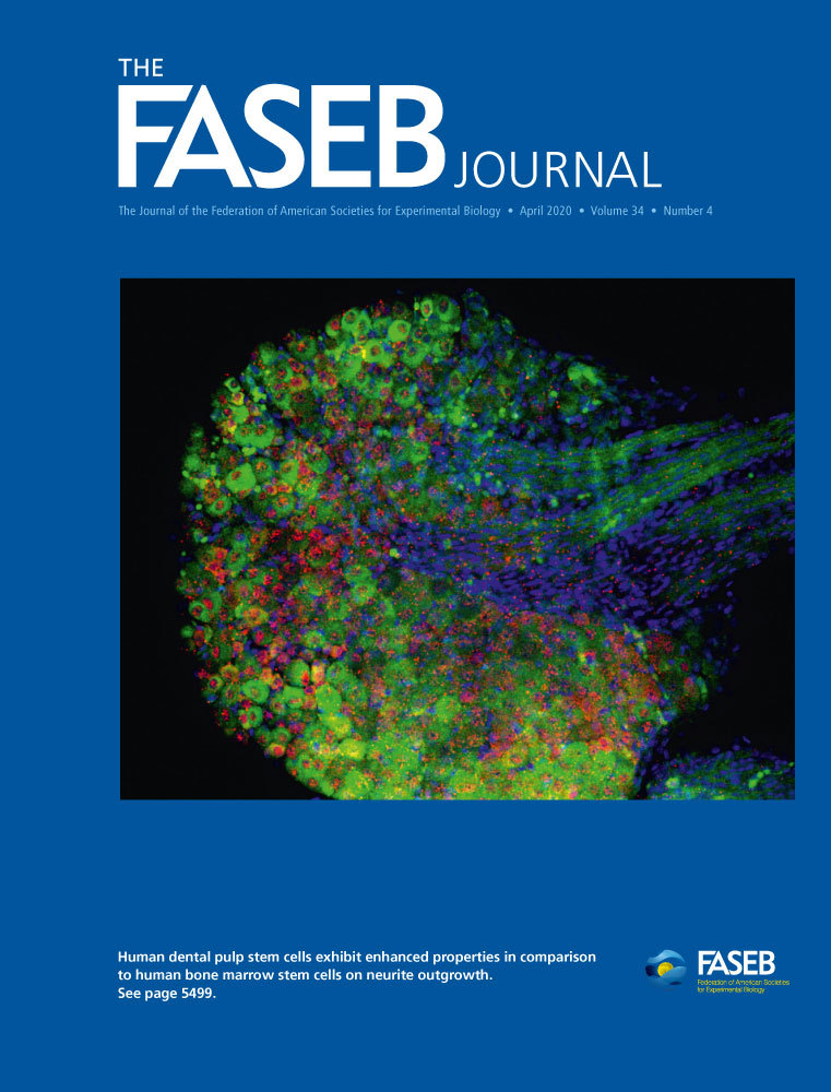 The FASEB Journal Journal Cover