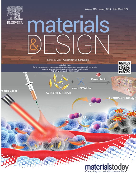 Journal Cover