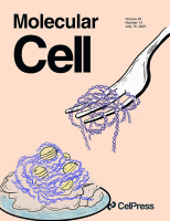 Journal Cover