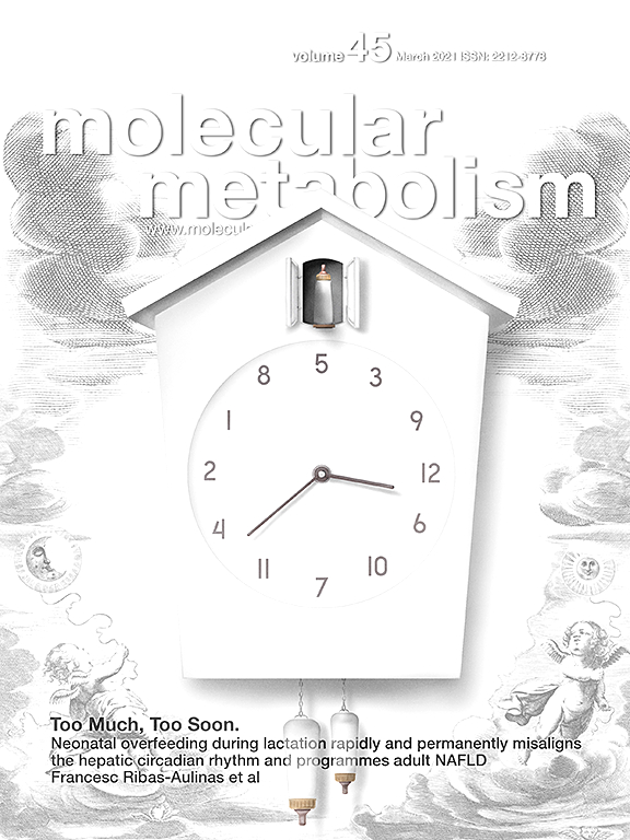 Journal Cover